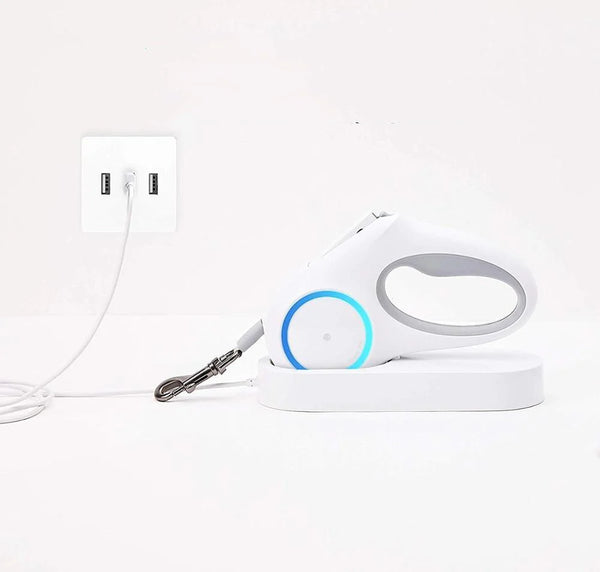 Dog Leash Retraction