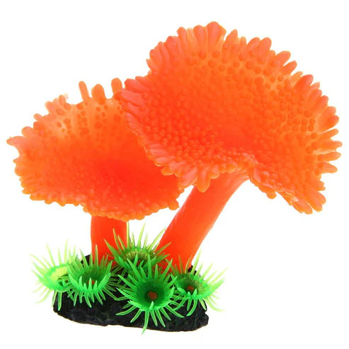 Simulation of Coral Plants