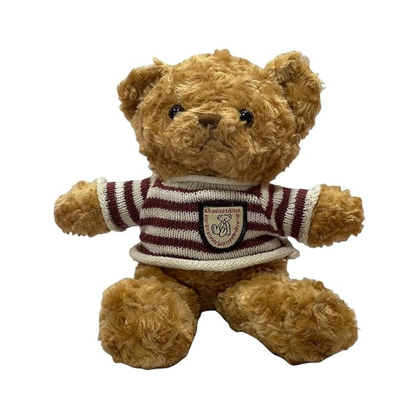 Soft T-shirt Teddy Bear (12pcs)